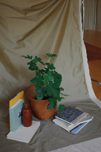 Luigi Ghirri: Cardboard Landscapes