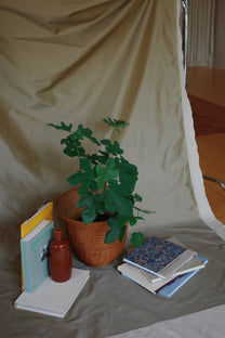 Charlotte Perriand: The Modern Life