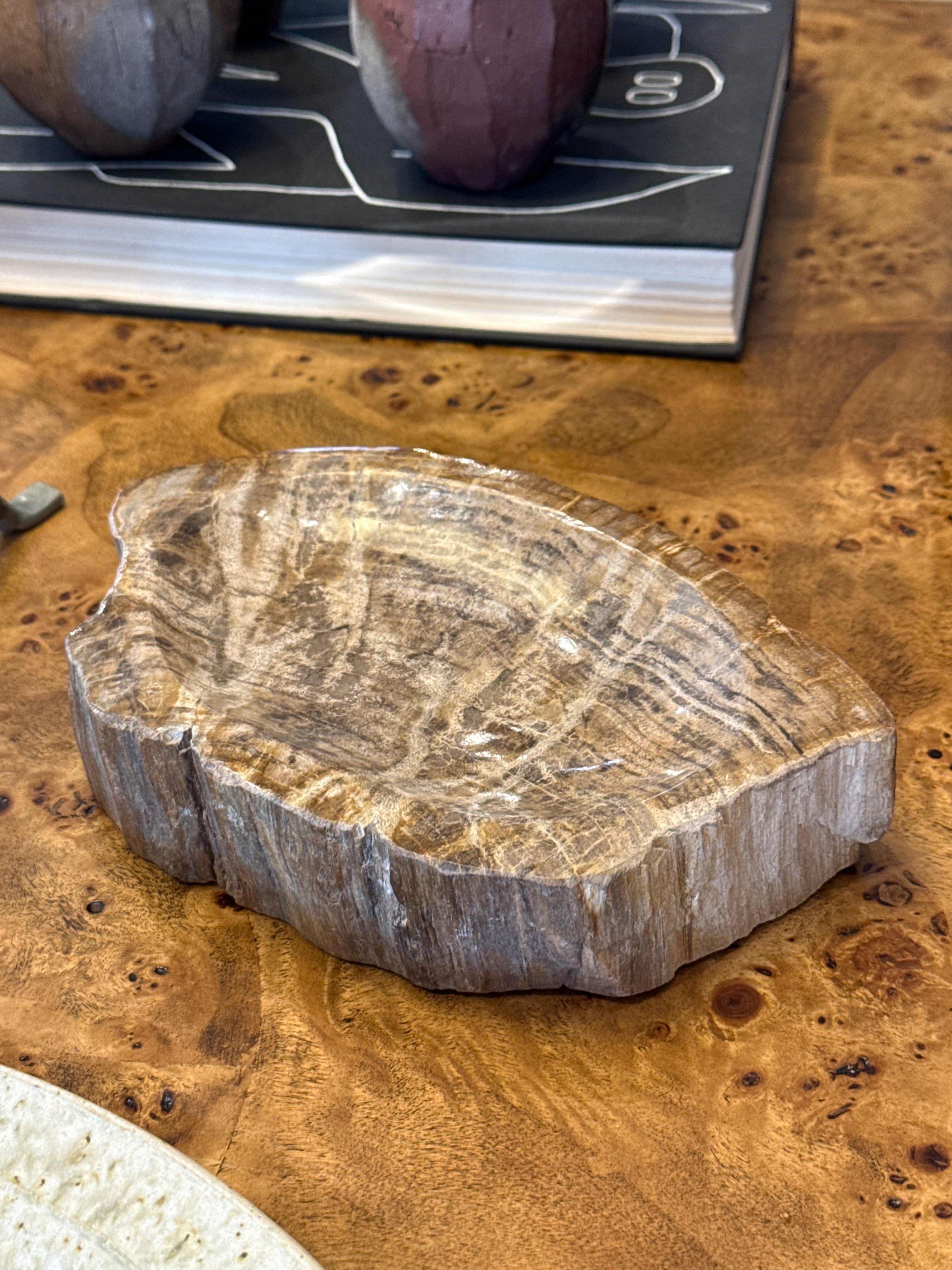 Petrified Wood Bowl