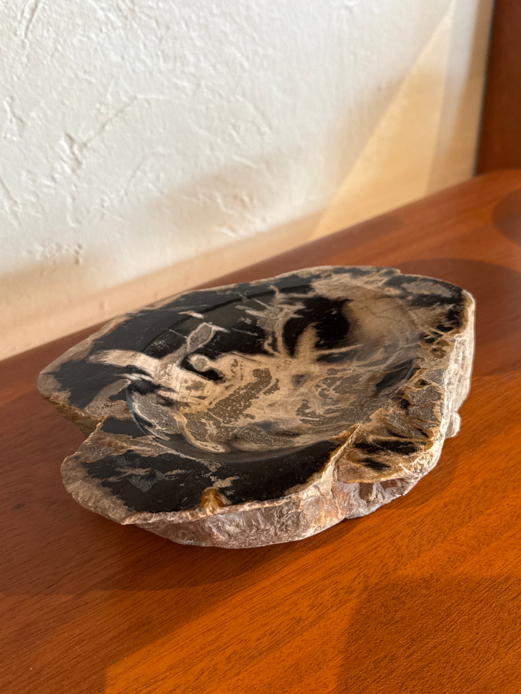 Petrified Wood Bowl