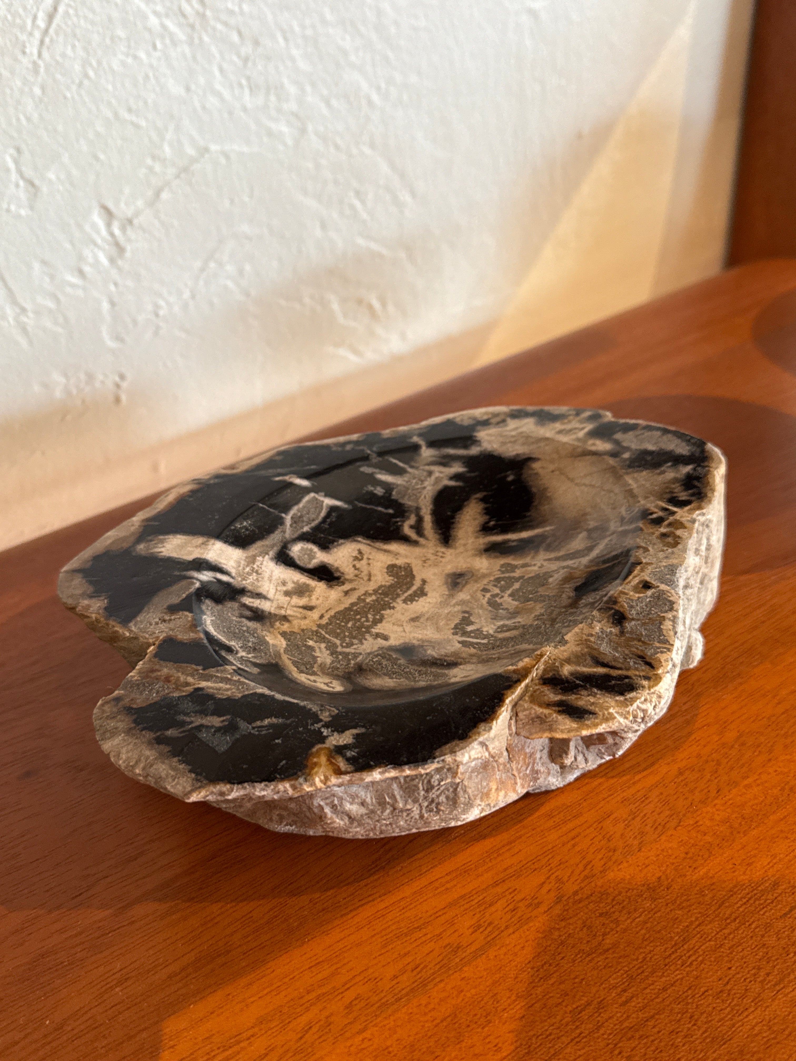 Petrified Wood Bowl