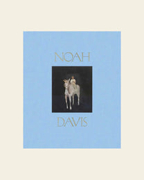 Noah Davis by Noah Davis Book
