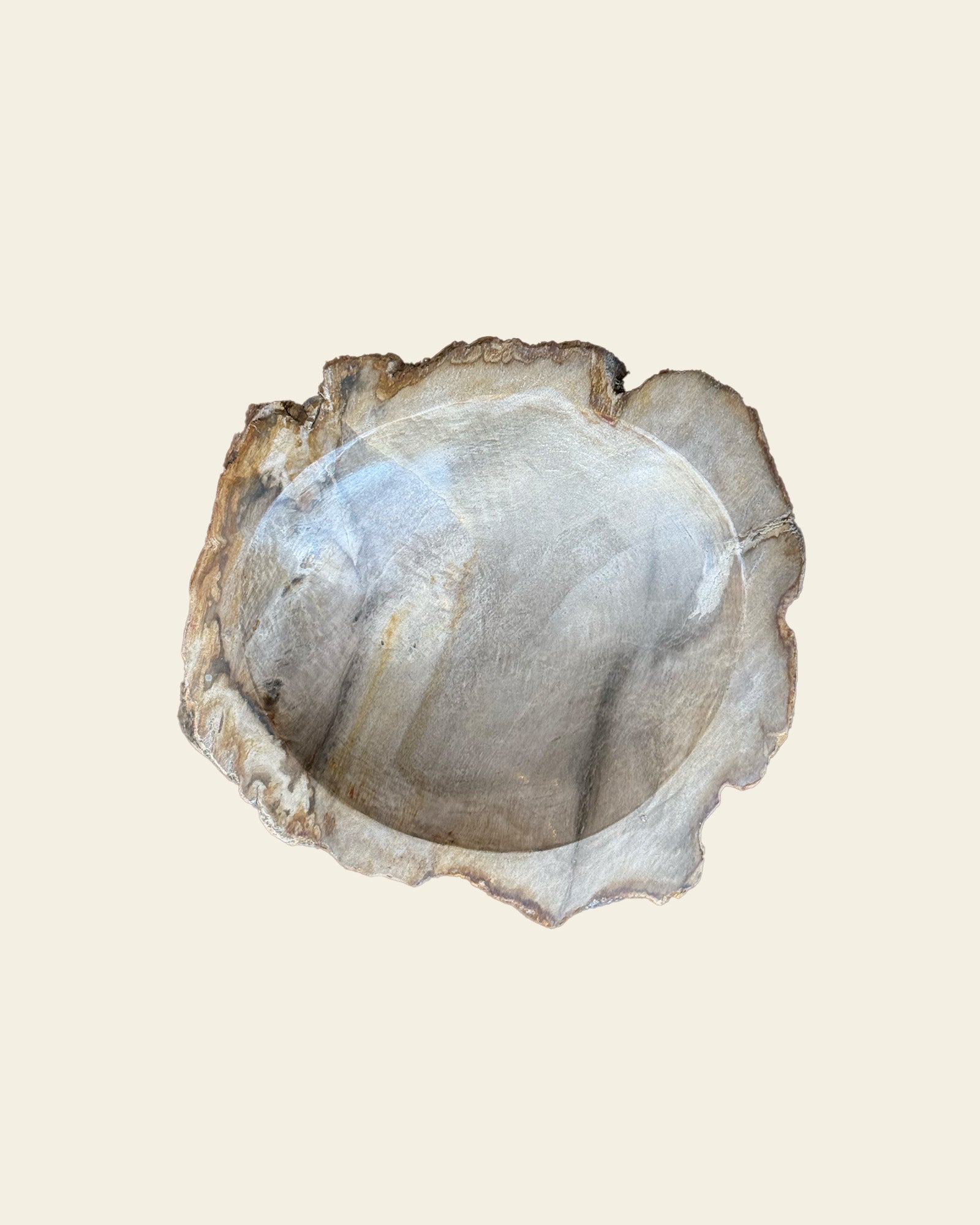 Blonde Petrified Wood Bowl