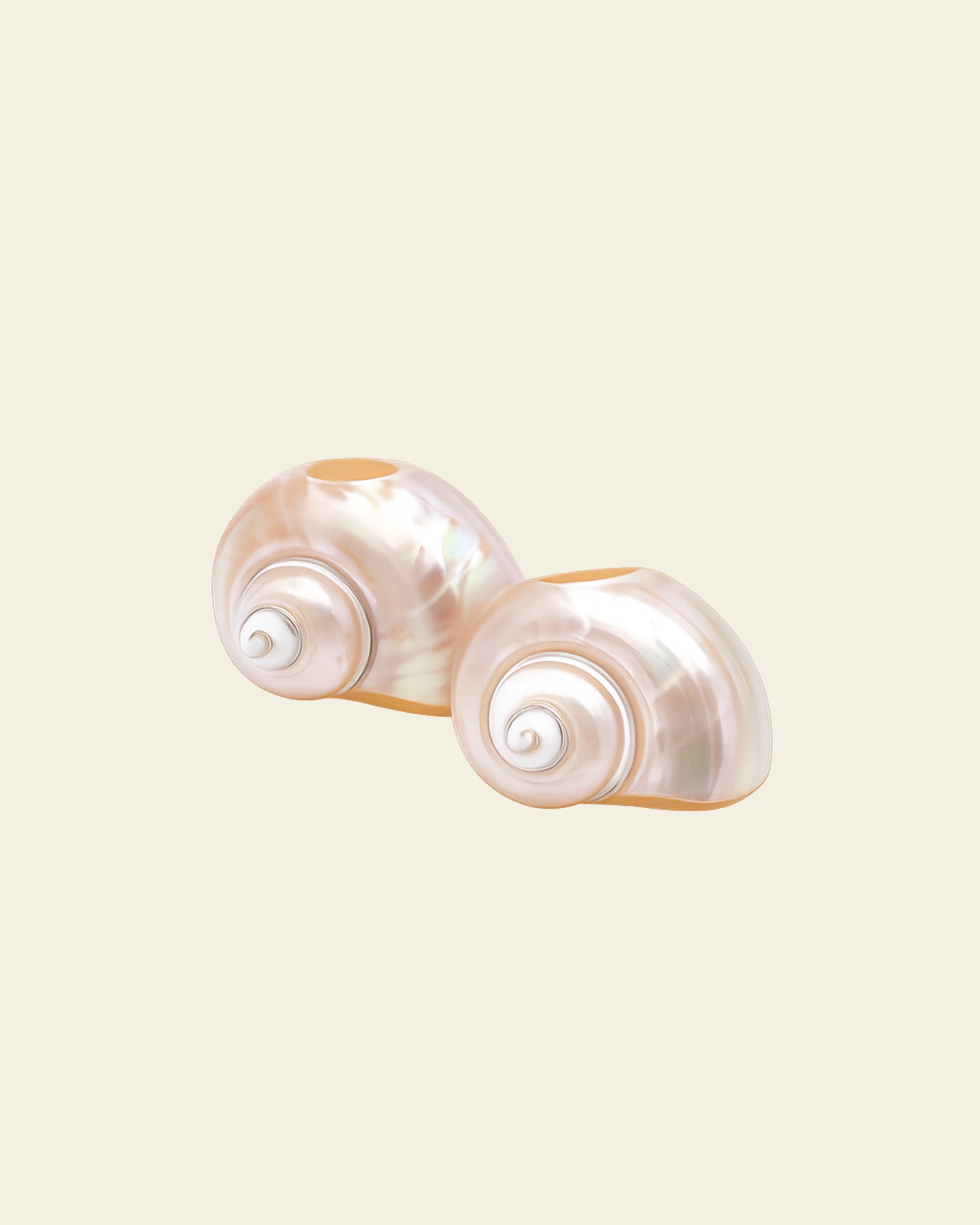 Shell Napkin Rings, Set of 4