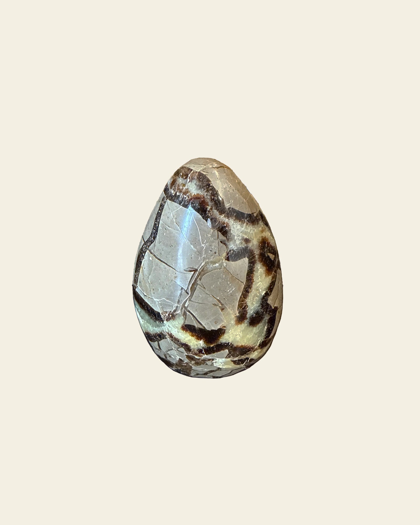 Septarian Rock Form