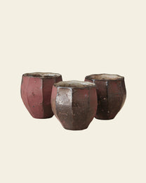 Wild Clay Cup