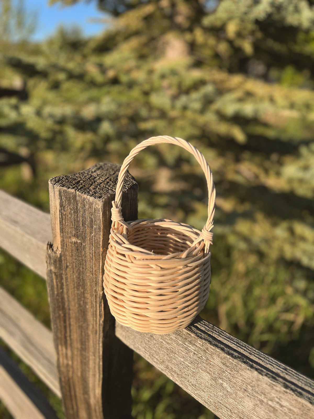 Mara X Brinn Weaves Basket Making Workshop